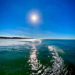 Meet your Posher, Ray